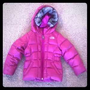 The north face down jacket